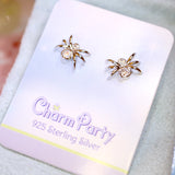 Silver Earring Case C