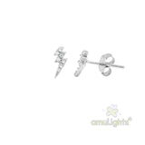 Silver Earring Case B