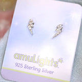 Silver Earring Case B