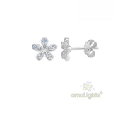 Silver Earring Case C