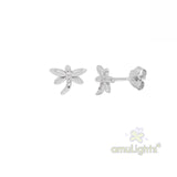 Silver Earring Case C