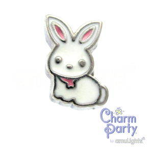 Bunny Charm